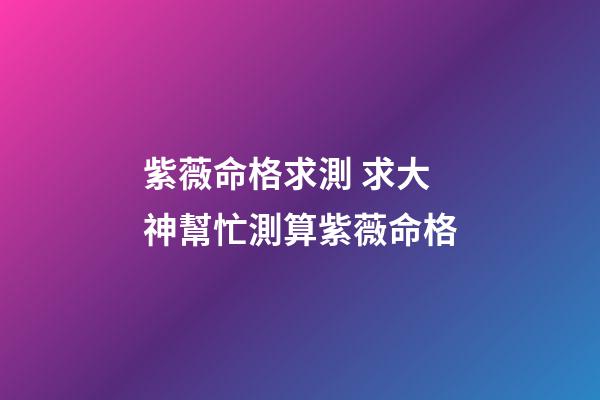 紫薇命格求測 求大神幫忙測算紫薇命格-第1張-觀點-玄機派